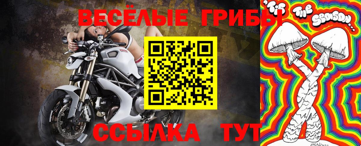 Заринск  Галлюциногенные грибы GOLDEN TEACHER  Вход с VPN  Галлюциногенные грибы ЛСД 