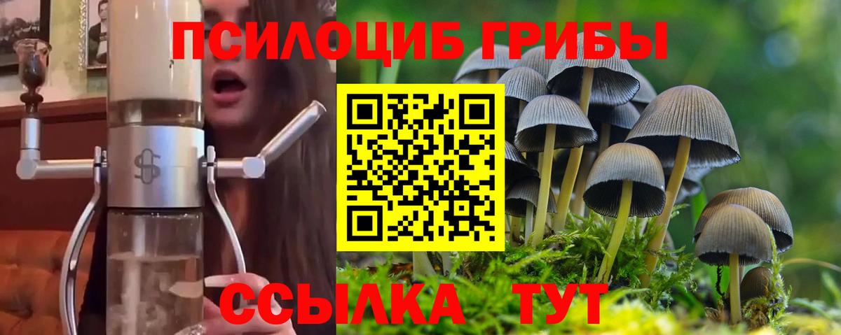 Псилоцибиновые грибы GOLDEN TEACHER Заринск